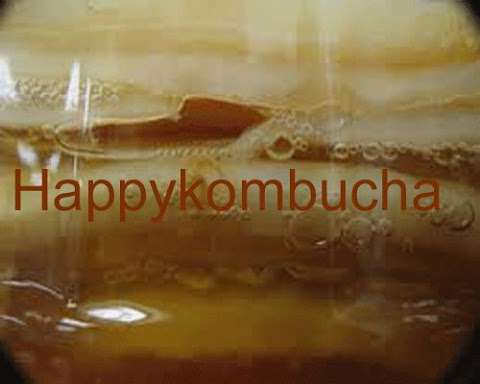 Happy Kombucha photo