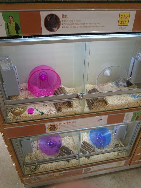 Pets at Home Eastbourne photo
